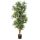 Kunstpflanze Dracaena Reflexa - 150 cm