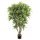 Kunstpflanze Dracaena Reflexa Jamaica - 145 cm