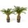 Kunstpflanze Cycas Palme - 65 cm