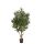 Kunstpflanze Olivenbaum - 120 cm