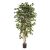 Kunstpflanze Ficus Nitida - 210 cm
