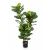 Kunstpflanze Ficus Lyrata - 130 cm