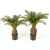 Kunstpflanze Cycas Palme - 65 cm