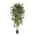 Kunstpflanze Ficus Nitida - 180 cm