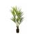 Kunstpflanze Kentia Palme - 170 cm