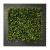 Pflanzenbild Buxus (künstliche Hecke) 67x67 cm