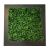 Pflanzenbild Hedera (künstliche Hecke) 67x67 cm