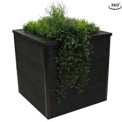 Zwarte houten plantenbak 60x60x60 cm. met planten