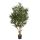 Kunstpflanze Olivenbaum - 180 cm