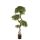 Kunstpflanze Podocarpus - 135 cm