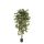 Kunstpflanze Ficus Nitida - 120 cm