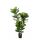 Kunstpflanze Ficus Lyrata - 90 cm