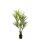 Kunstpflanze Kentia Palme - 140 cm